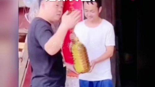 娱乐爆料华哥视频大全最新,视频大全大揭秘！